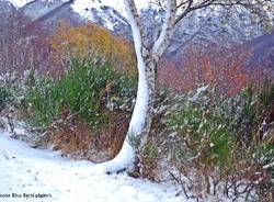 La prima nevicata nel Luinese