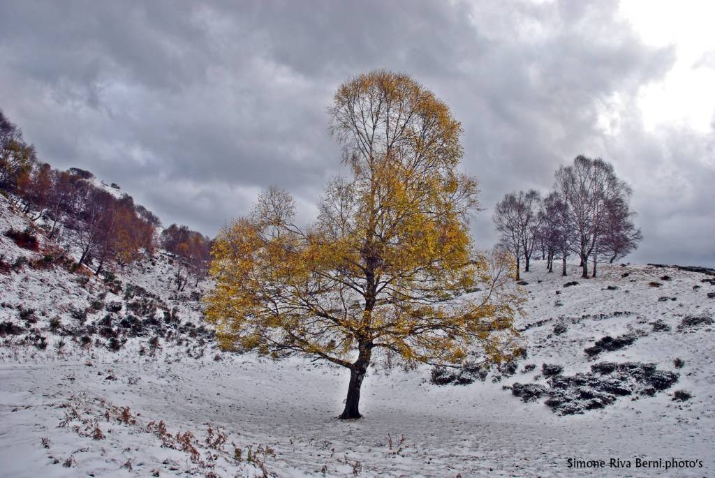 La prima nevicata nel Luinese