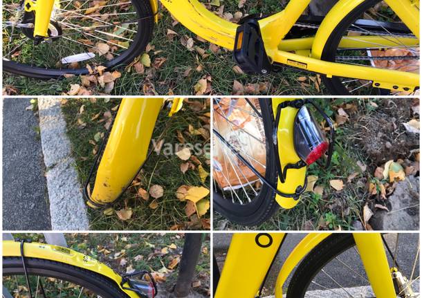 Bicicletta Ofo danneggiata e abbandonata