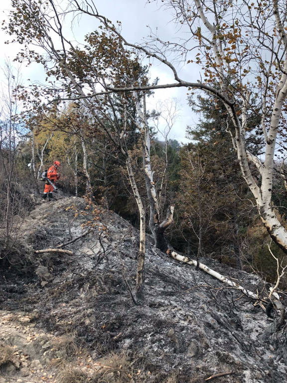 Contro l'incendio del campo dei fiori: la squadra Aib Ana del Brinzio