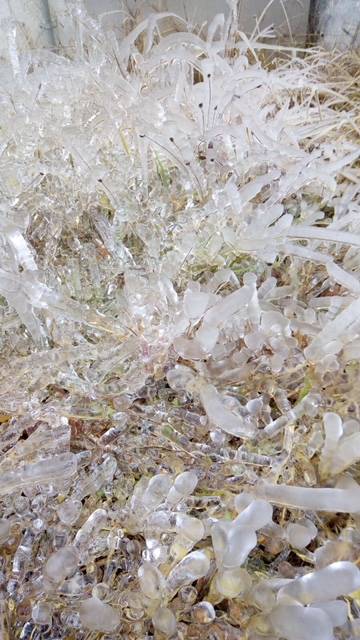 Cremenaga di ghiaccio novembre 2017