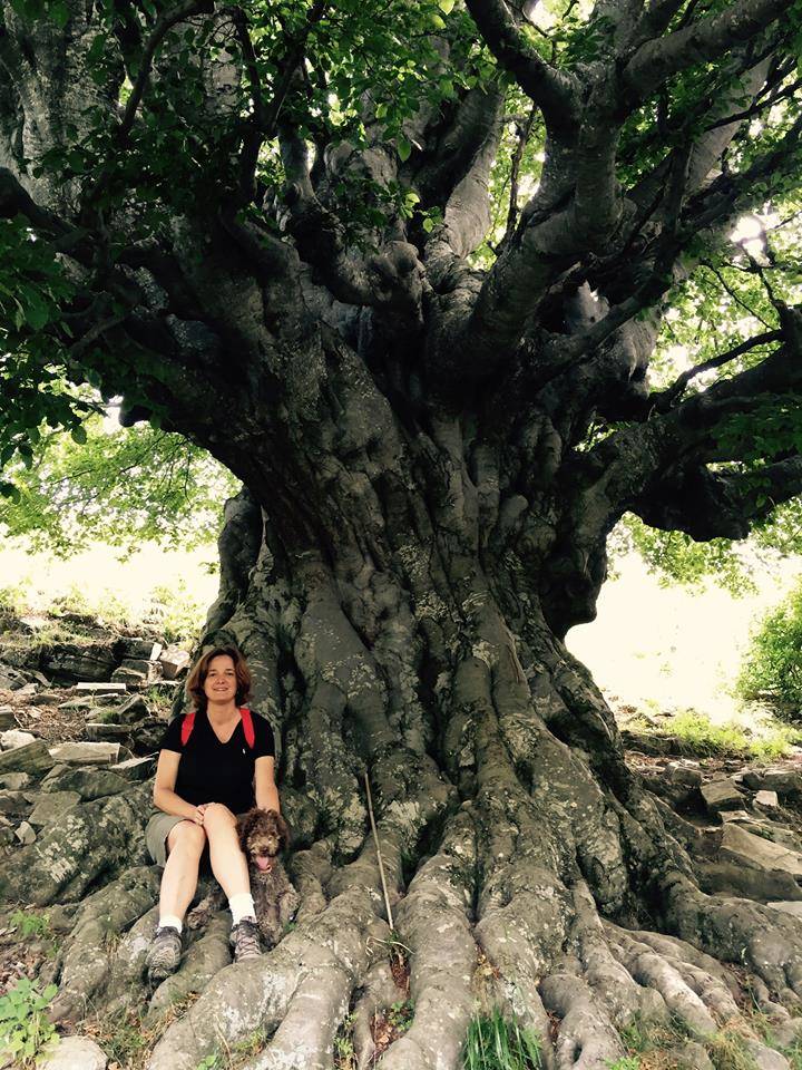 Festa degli Alberi: i vostri abbracci