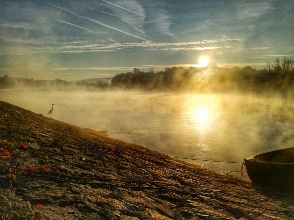 Foto del giorno Novembre 2017