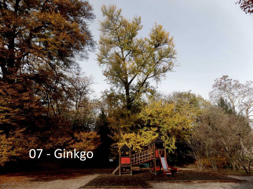 giardini estensi: piante e monumenti con Teresio Colombo