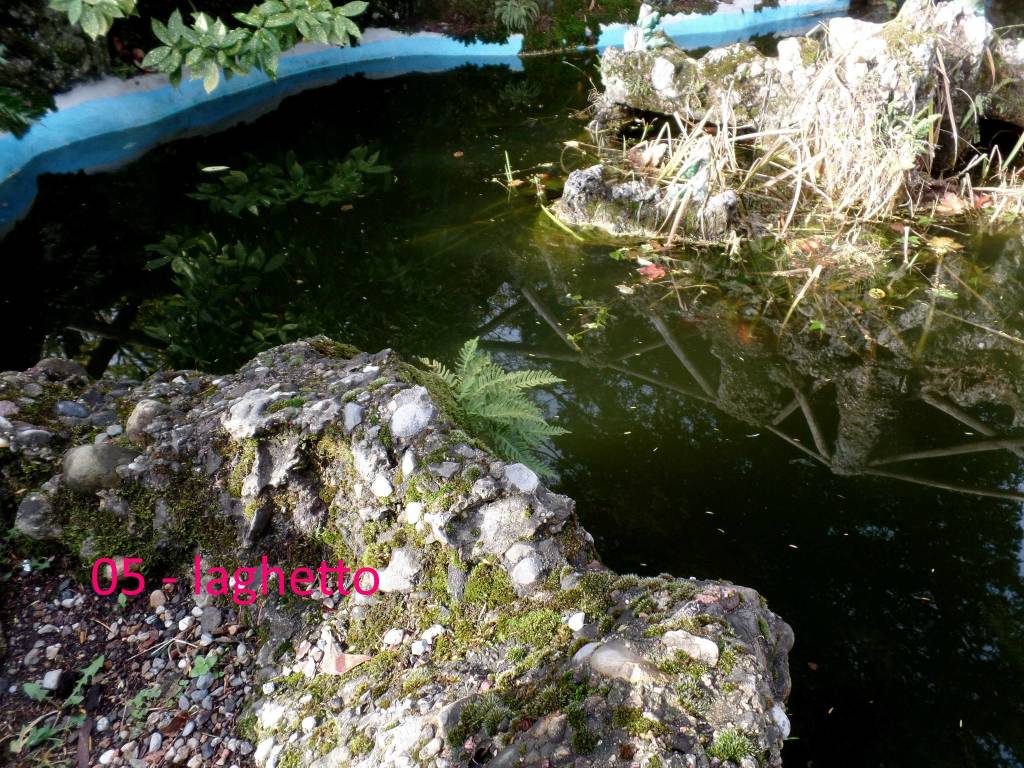 giardini estensi: piante e monumenti con Teresio Colombo