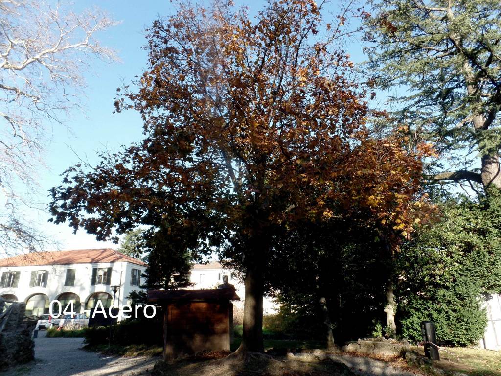 giardini estensi: piante e monumenti con Teresio Colombo