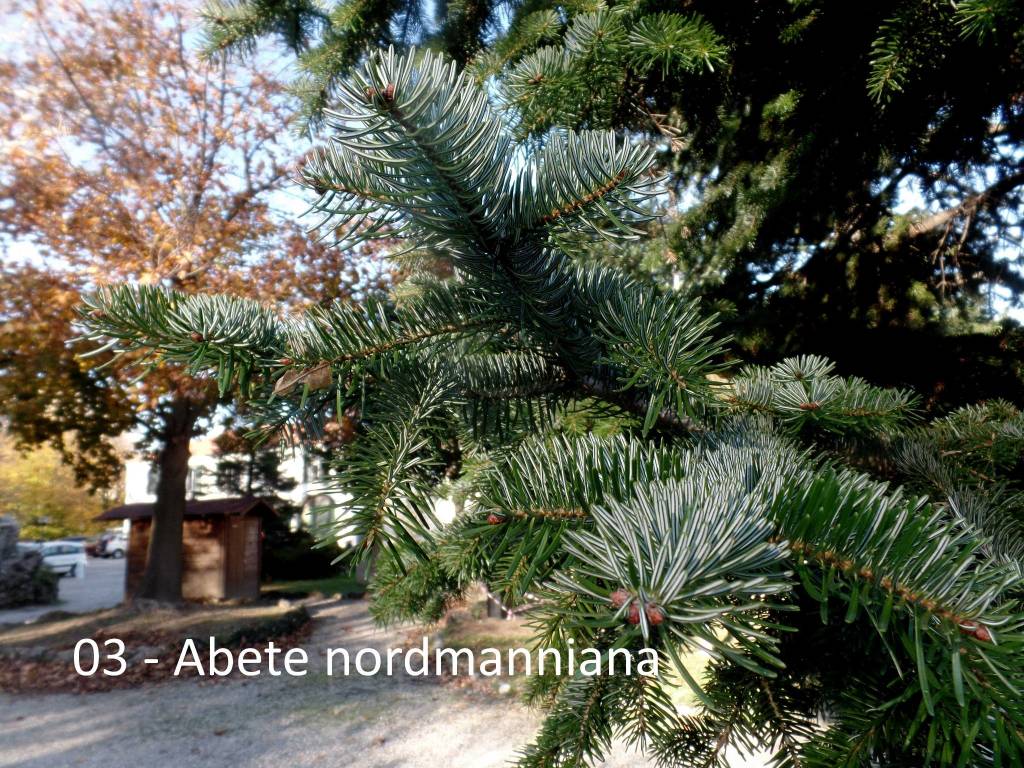 giardini estensi: piante e monumenti con Teresio Colombo