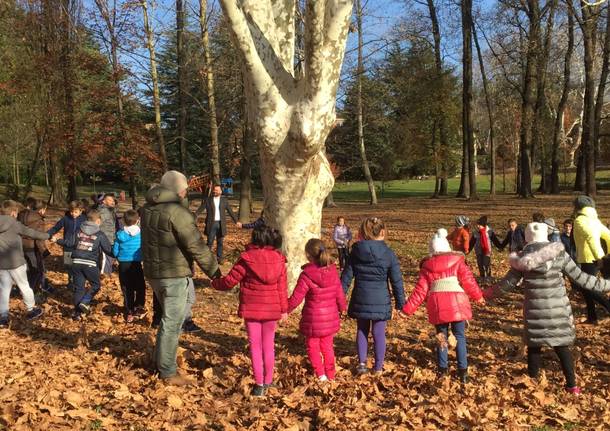 Giornata dell'albero 2017 a Varese