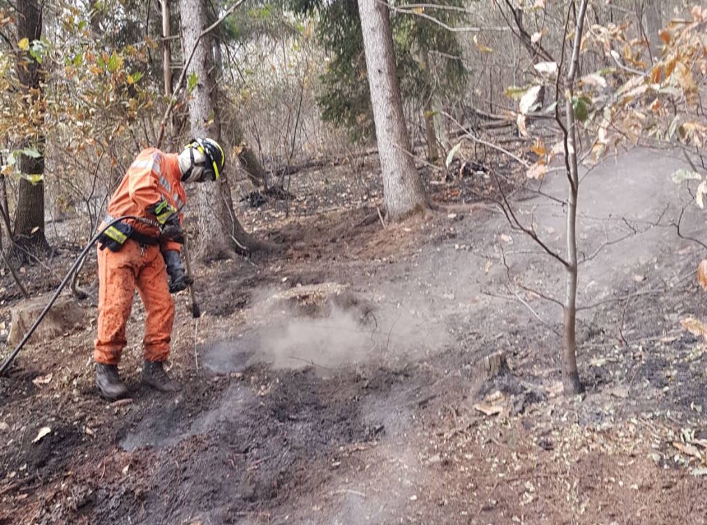 Gli effetti dell'incendio al Poggio di Luvinate