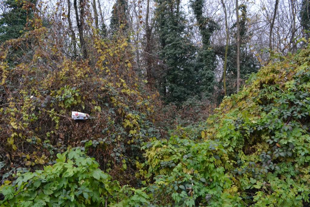 Il "central park" di Busto