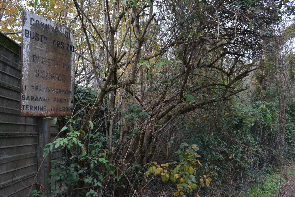 Il "central park" di Busto
