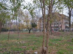 Il "central park" di Busto