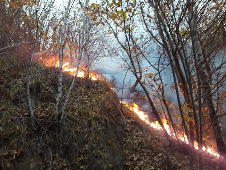 Incendio Mondonico