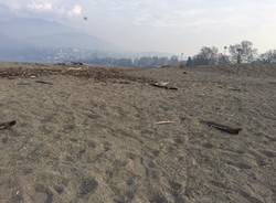 Le dune alla foce del Tresa a Germignaga, novembre 2017