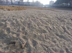 Le dune alla foce del Tresa a Germignaga, novembre 2017