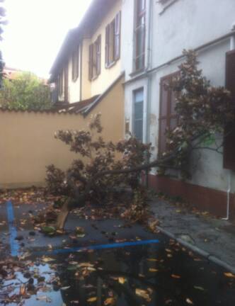 Schermata 2017 11 06 alle 09 58 48