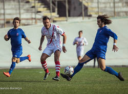 varese pavia calcio 