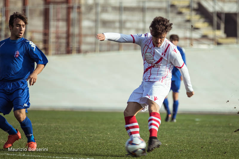 varese pavia calcio 