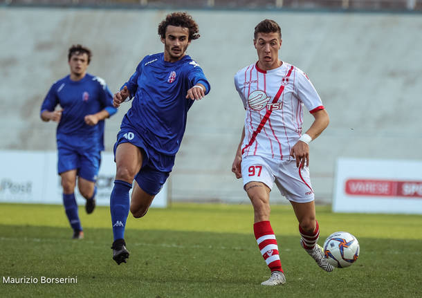 varese pavia calcio 