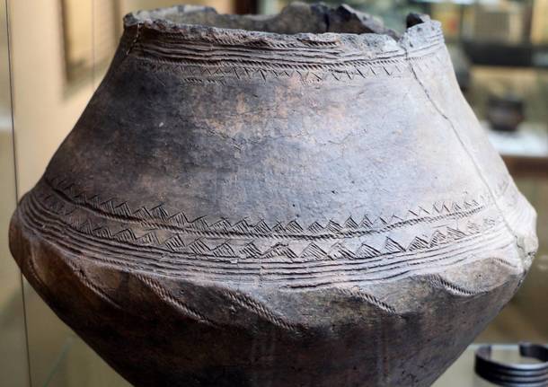 vaso archeologia preistoria cultura golasecca