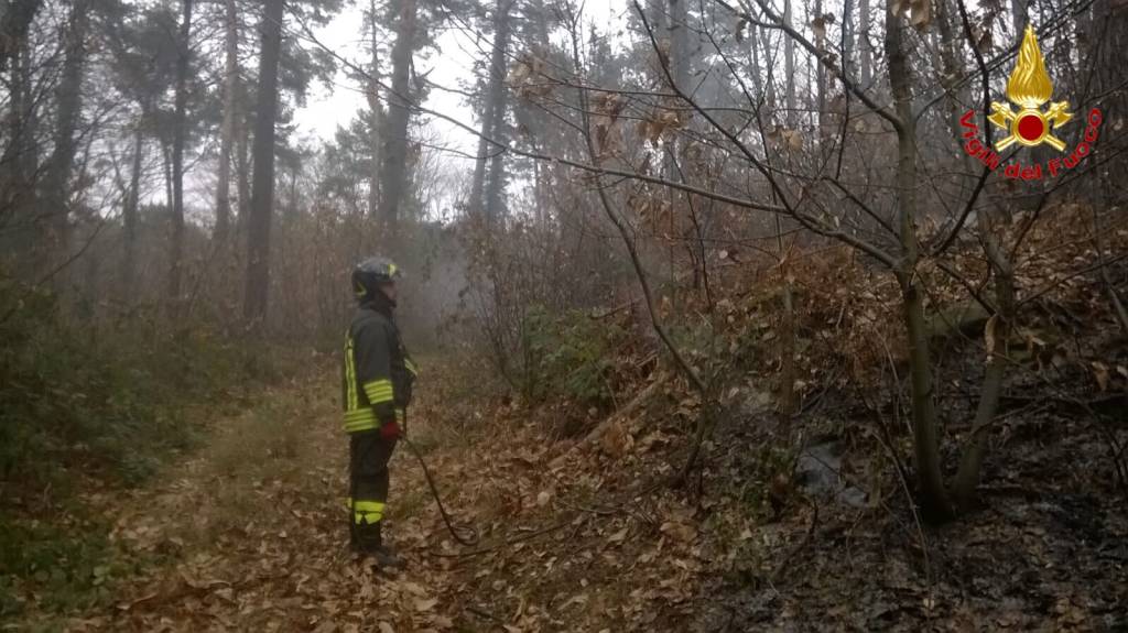 Al lavoro per spegnere l'incendio
