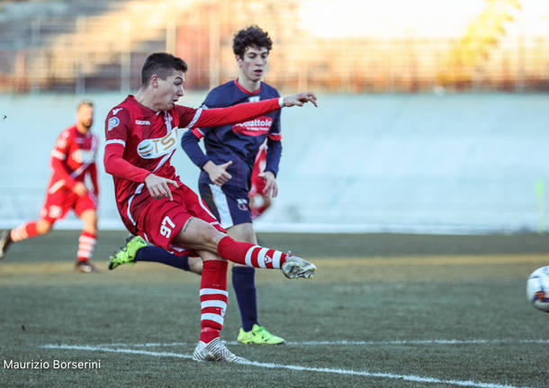 calcio varese varesina