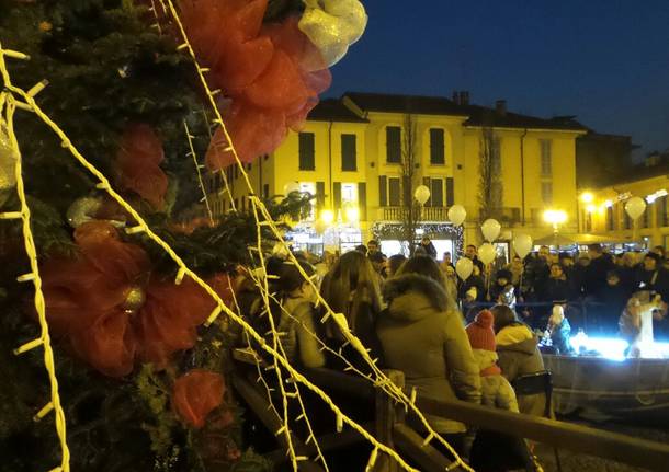 Albero di Natale conquista i saronnesi