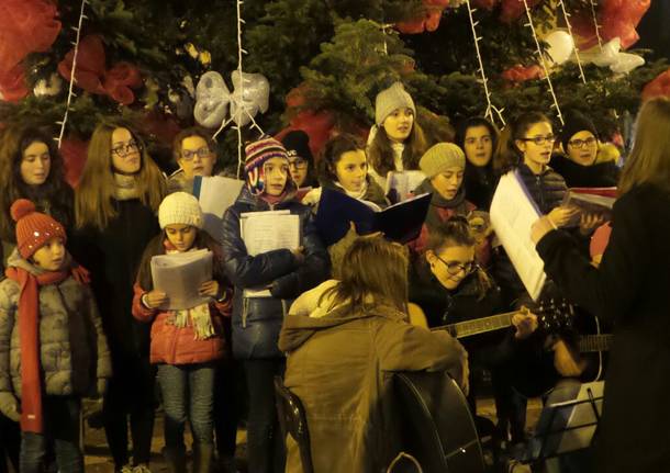 Albero di Natale conquista i saronnesi