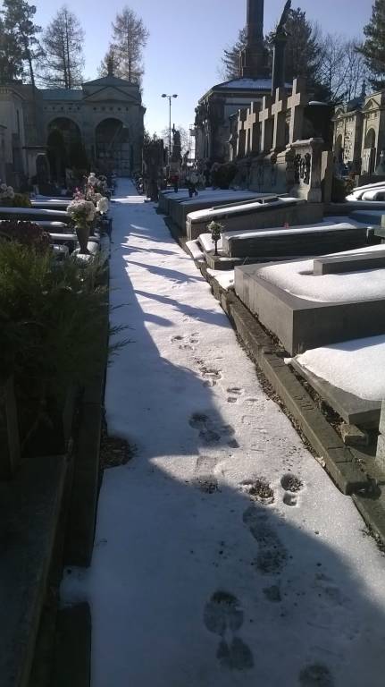 Attenti al ghiaccio!!!
