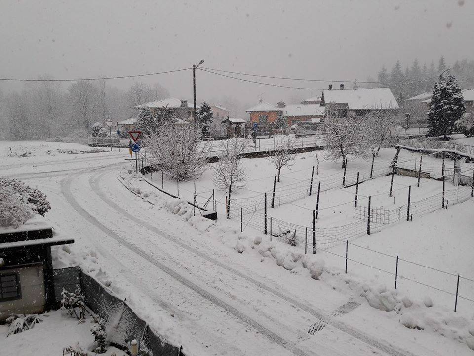 Dumenza