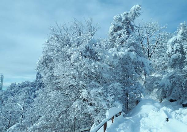 Il Campo dei Fiori sotto la neve