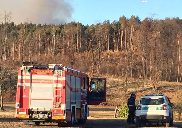 Incendio nei boschi di Oriano Ticino