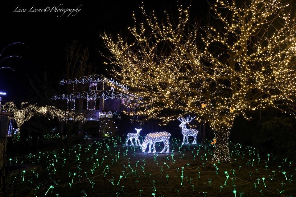 La magia di Leggiuno in 10 foto