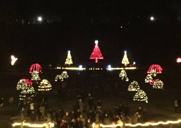 le luci di Natale ai giardini Estensi di varese