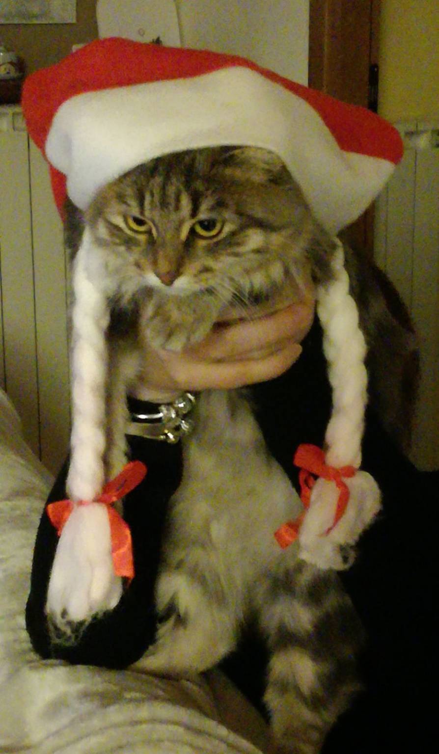 Natale cuccioloso - seconda settimana