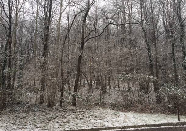 Neve a Dumenza, primo dicembre 2018