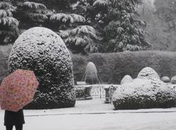 Prima neve 2017 a Varese