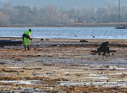 siccità sul Lago Maggiore, arrivano i cercatori d'oro
