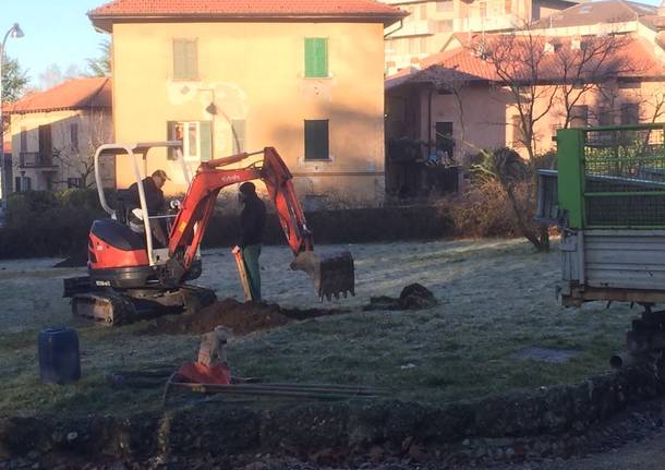 Alberi abbattuti, e rimpiantumati, a villa Augusta