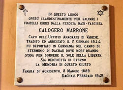 Calogero Marrone