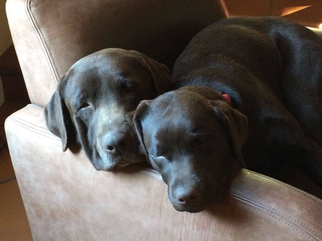 Camilla e Leo