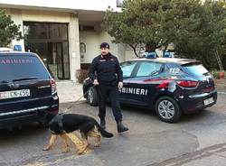 Carabinieri Saronno cane controlli