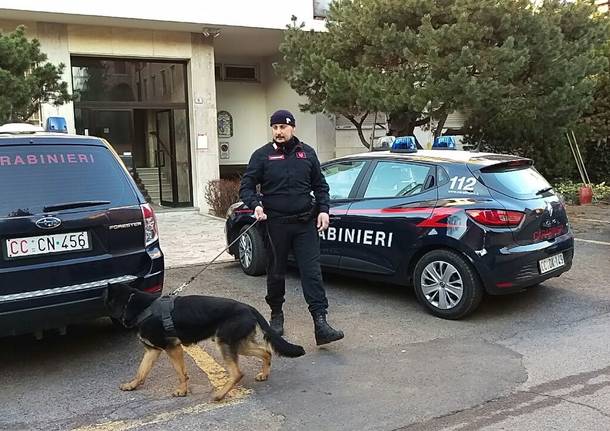 Carabinieri Saronno cane controlli