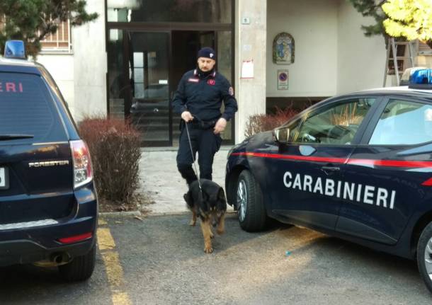 Carabinieri Saronno cane controlli