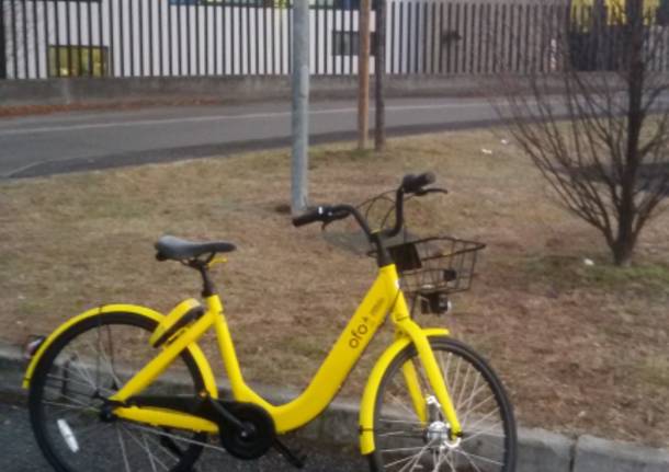 Bici OFO abbandonata ad Azzate