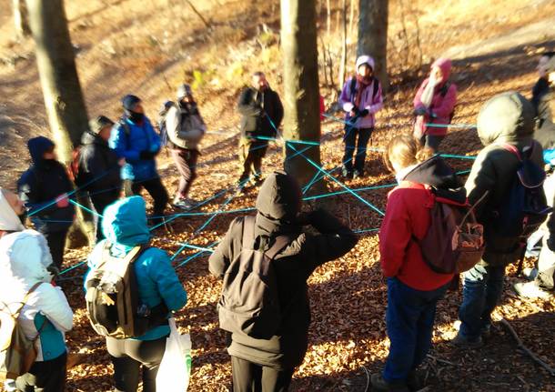 ESCURSIONE E NATUROPATIA PER INCONTRARE LO SPIRITO DEGLI ALBERI