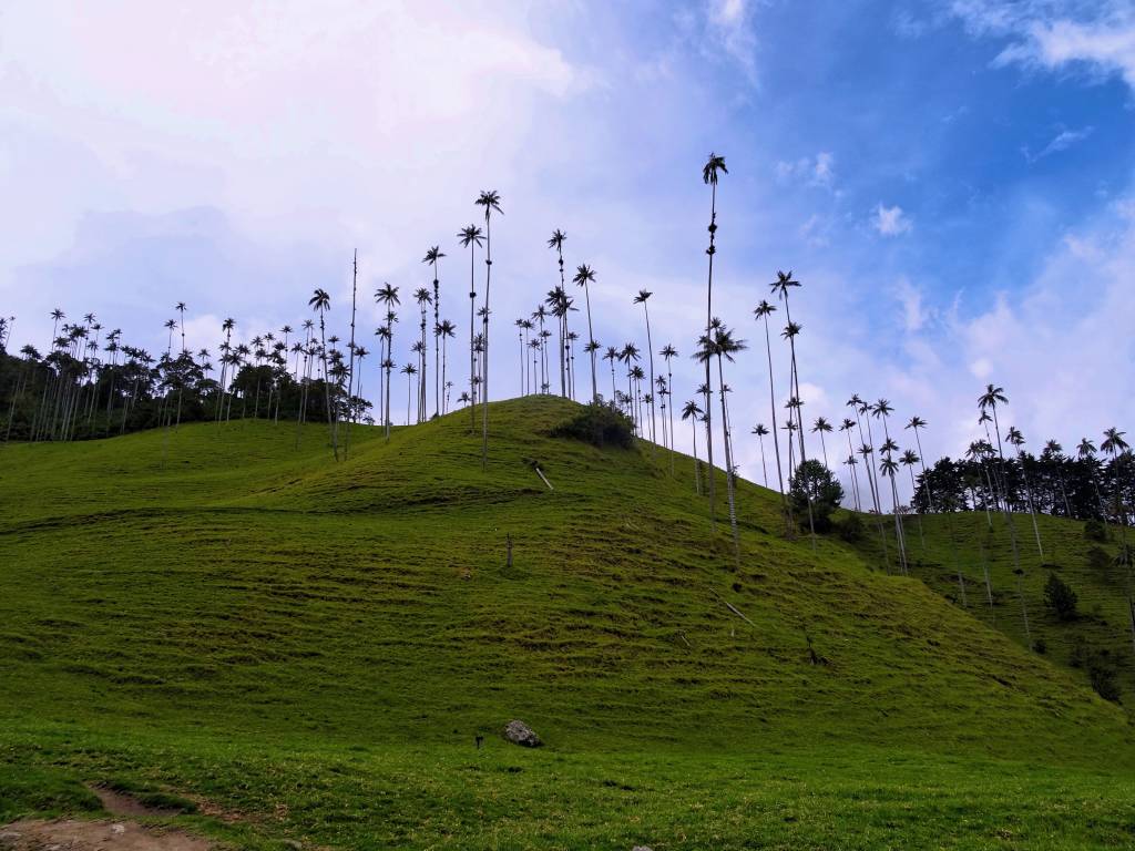 Oltreoceano ma non troppo: guida e racconto di un viaggio in Colombia.