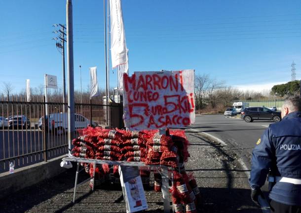 Maxi sequestro di marroni di Cuneo... a Saronno