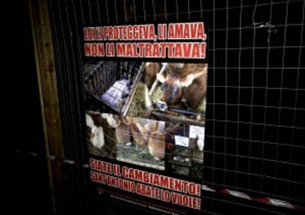 Blitz animalista in Municipio per la festa di Sant\'Antonio