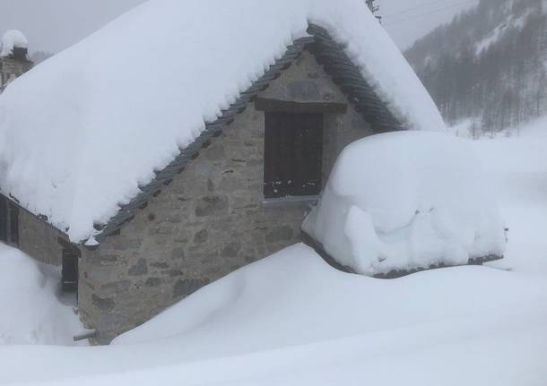 Che nevicata all’Alpe Devero!